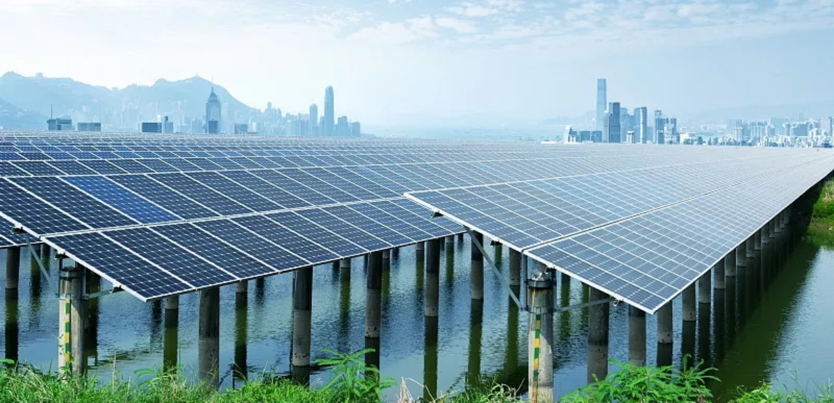 VCG211163018681.webp.png VCG211163018681.webp.png